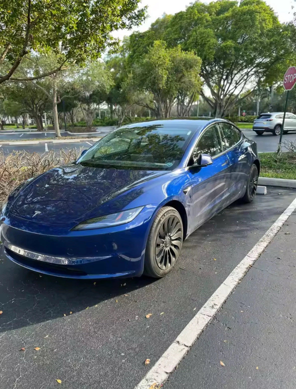 Highland Tesla Model 3 4 x 18" Wheel Covers Cover Hub Cap 2023-2025 Storm